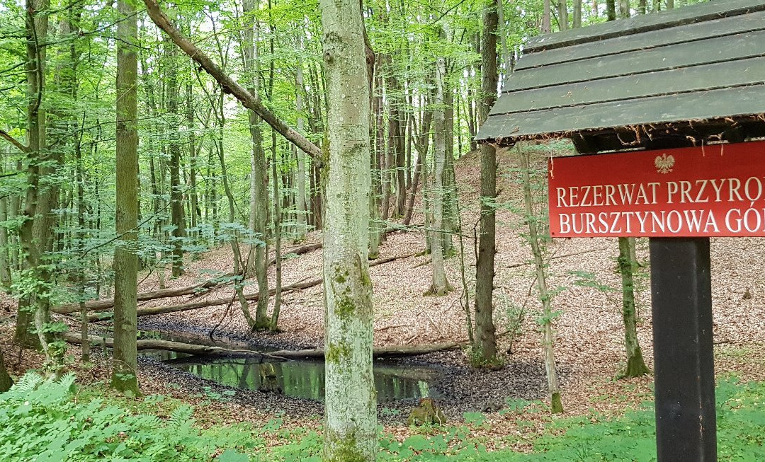 Bakowo旅游攻略图片