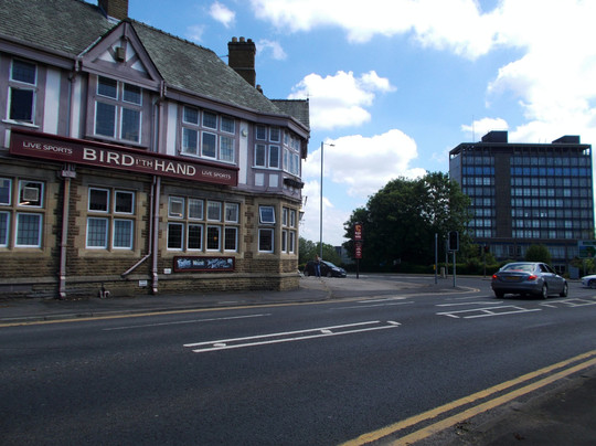 Bird I'th Hand主图