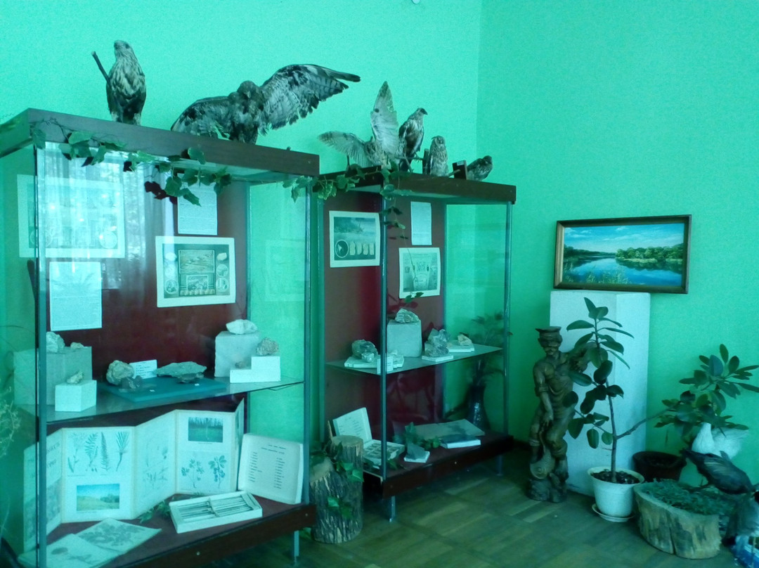 Shakhty Museum of Local Lore景点图片