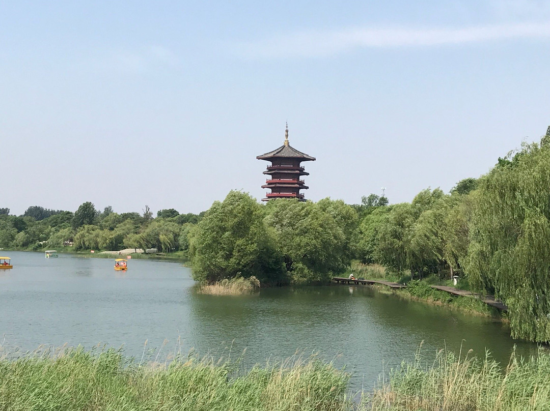 白浪绿洲湿地公园-潍坊市必去景点