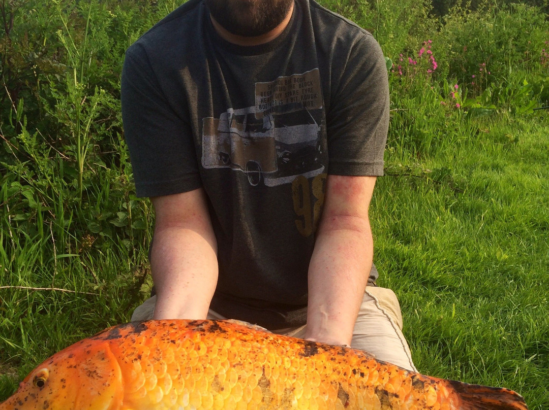 Pensagillas Coarse Fishing Lake-Grampound必去景点