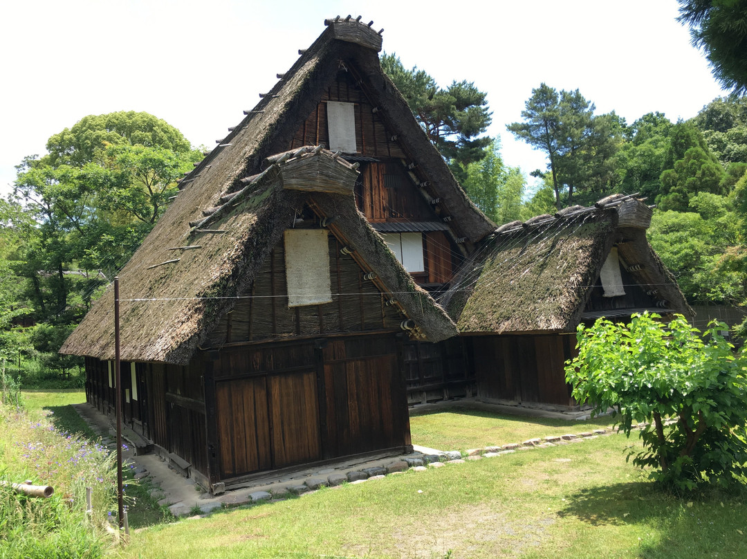 Hattori Ryokuchi Park-丰中市必去景点