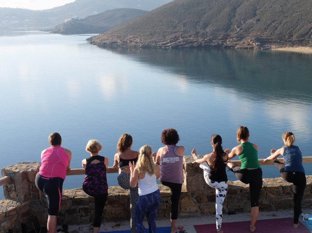 Island Yoga Flow景点图片