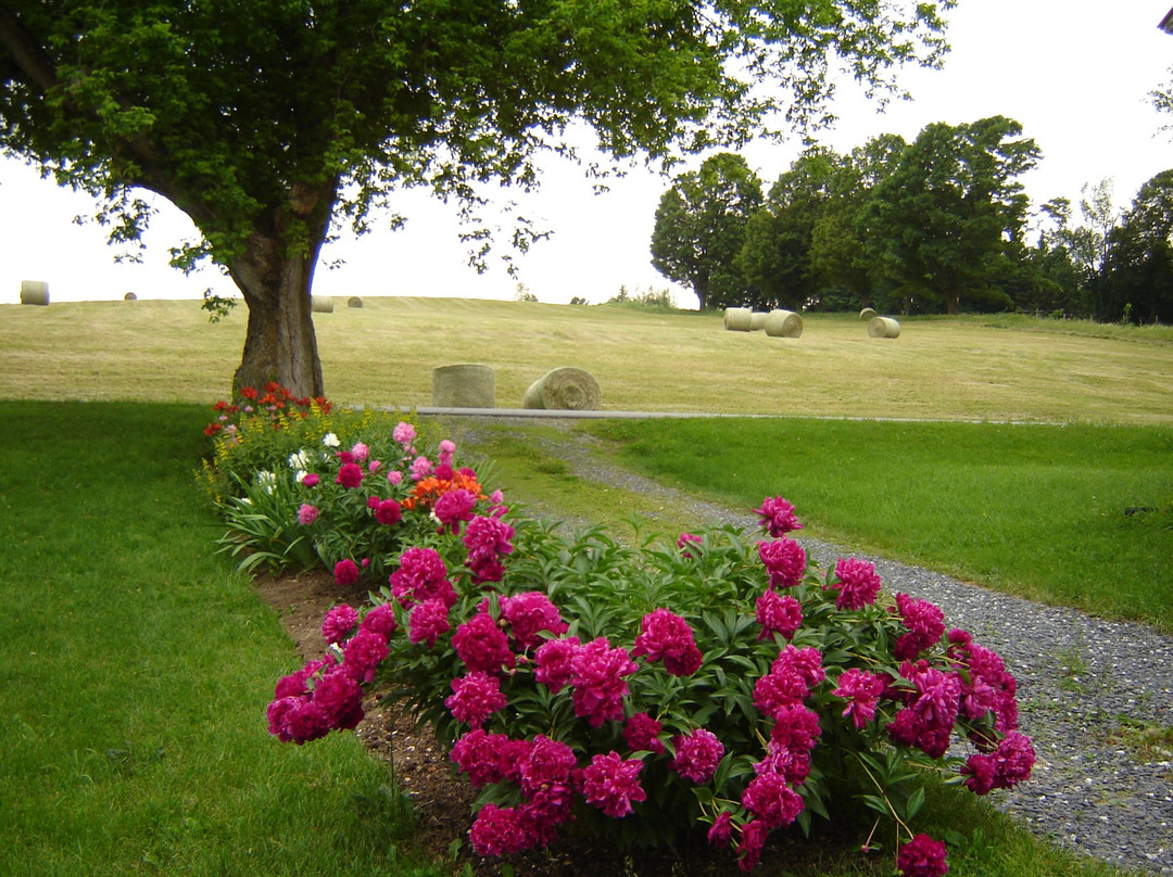 Auberge Des Trois Érables主图