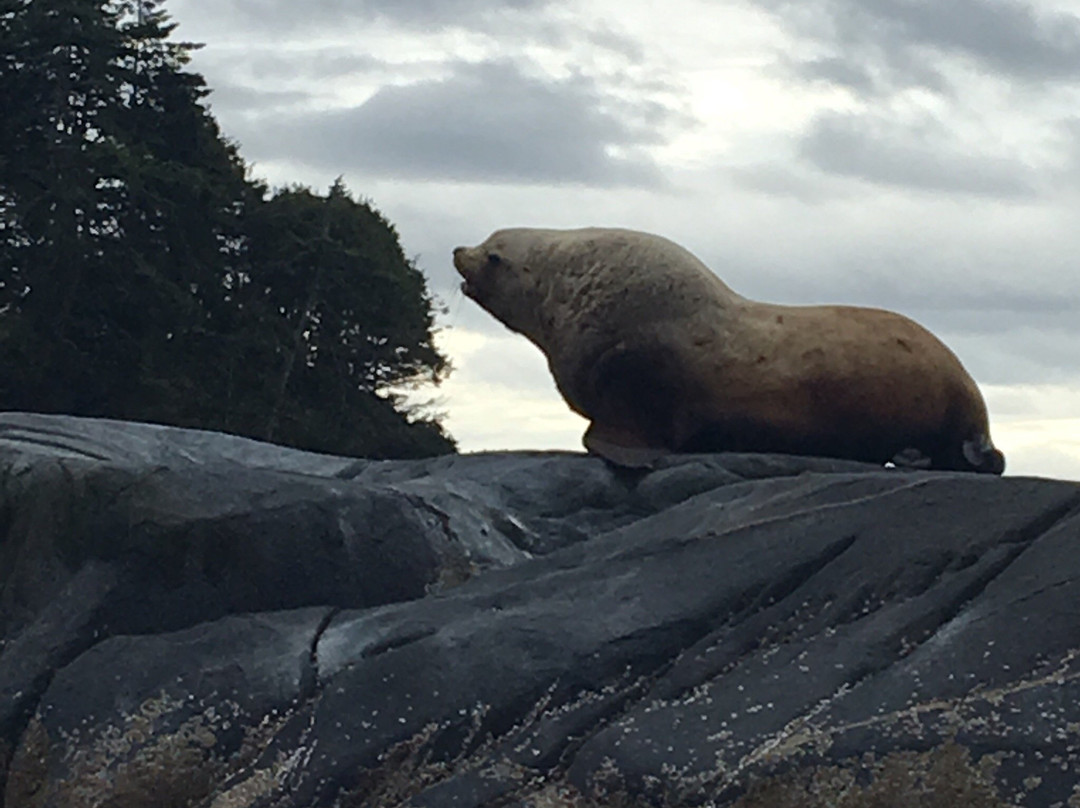 k'awat'si Tours-哈迪港必去景点