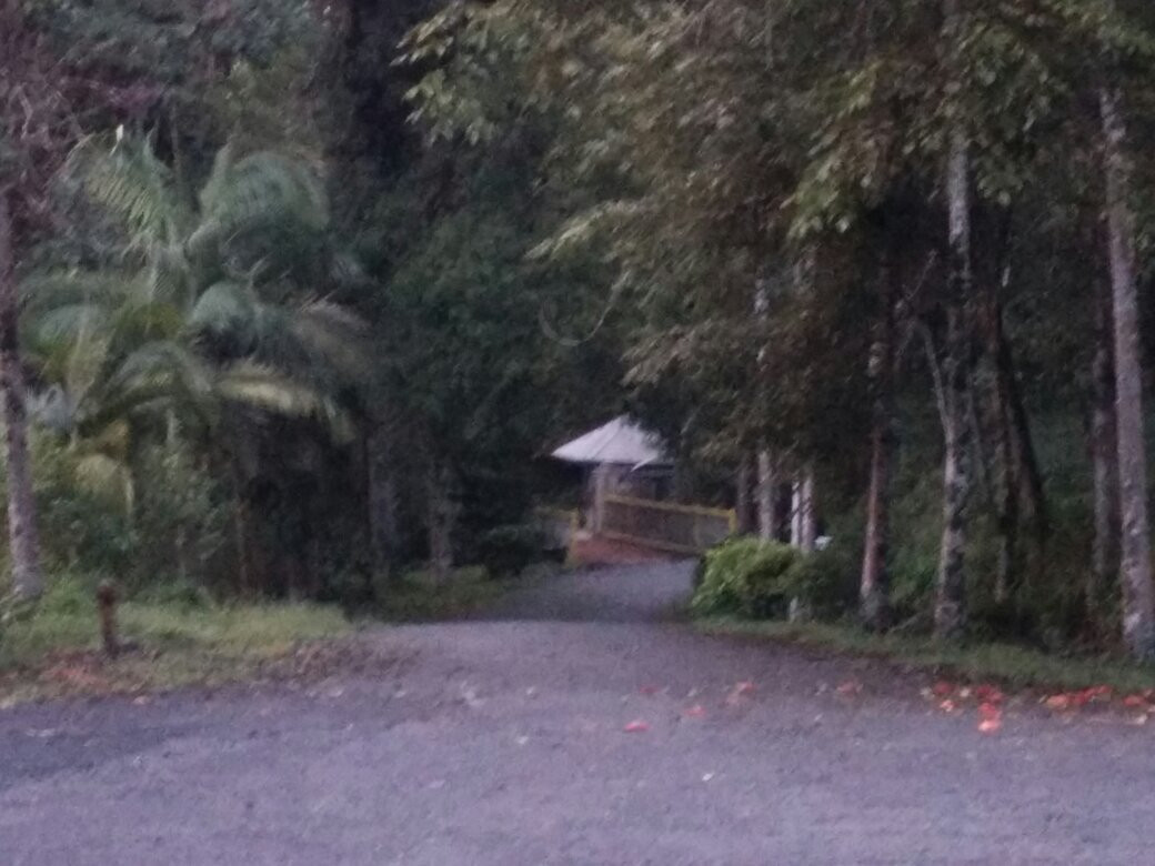 The Rave YMCA Camp-诗巫必去景点