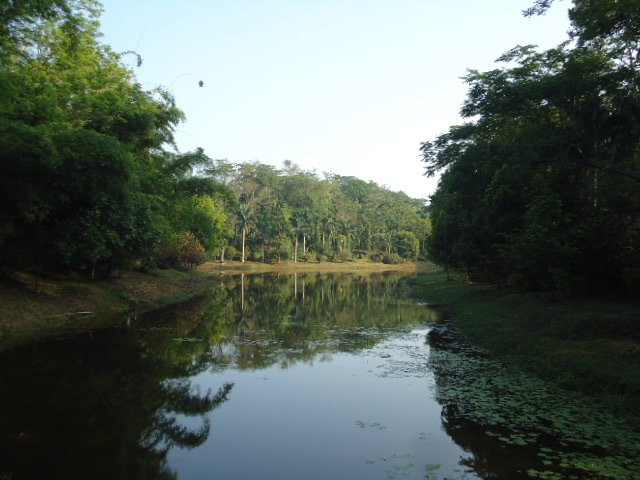 Botanical Garden-Diphu必去景点