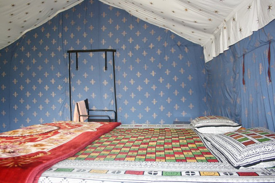 Alpine Adventure Camp主图