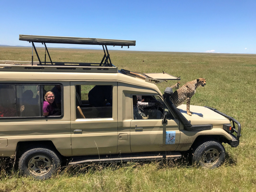 Above Safaris-阿鲁沙必去景点