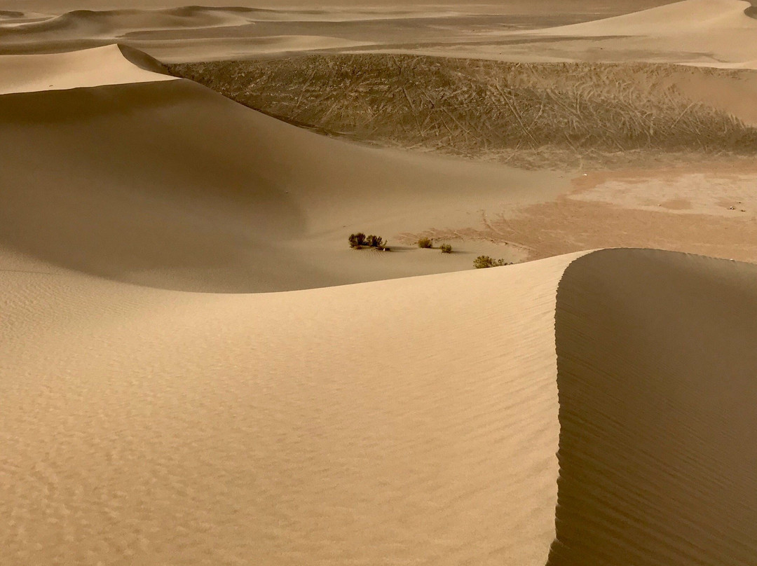 Bafgh Desert景点图片