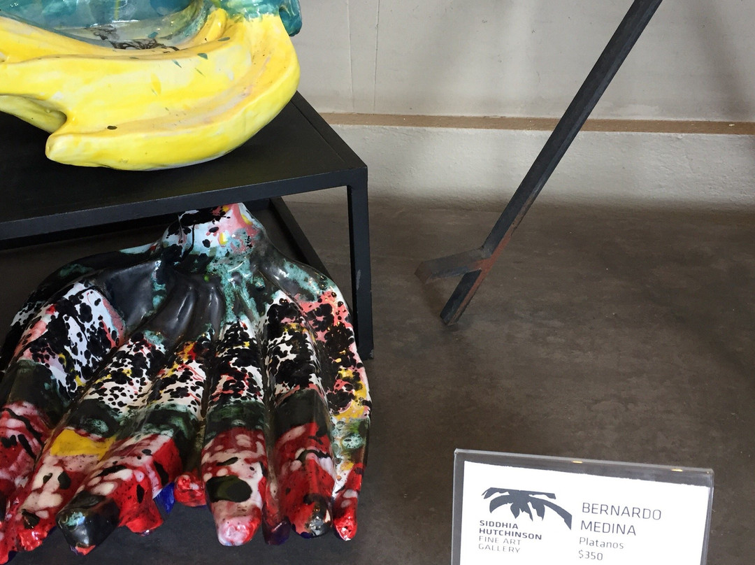 Siddhia Hutchinson Fine Art Gallery-维切克岛必去景点