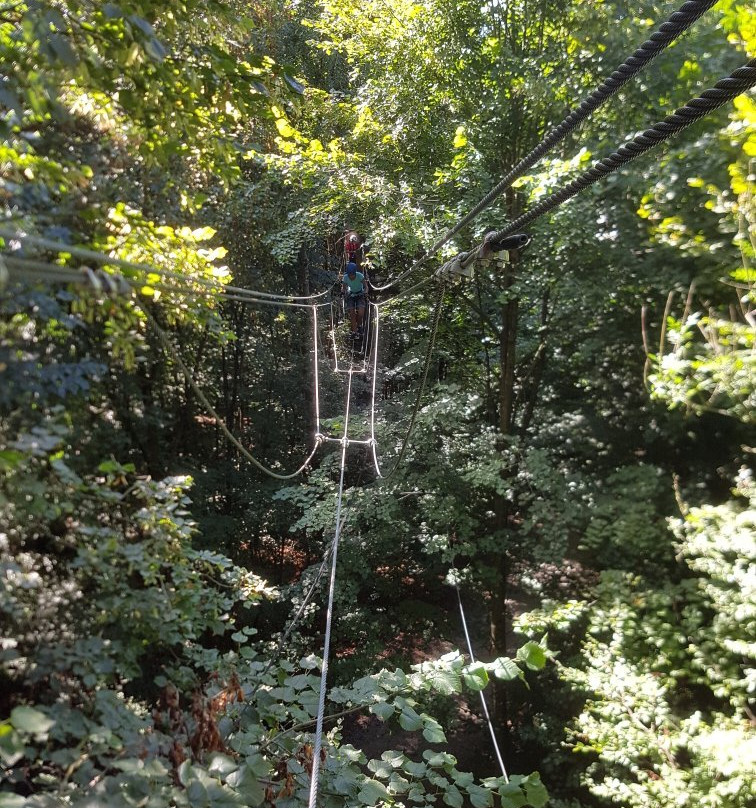 ROPETECH Ropes Course景点图片