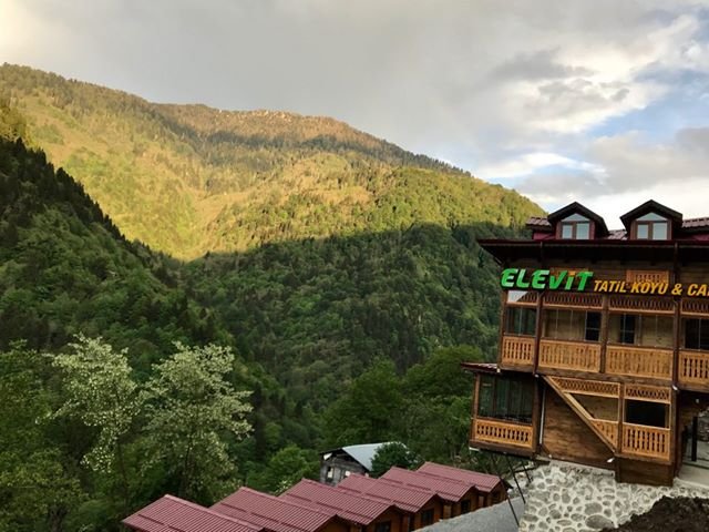 Elevit Tatil Koyu-官方