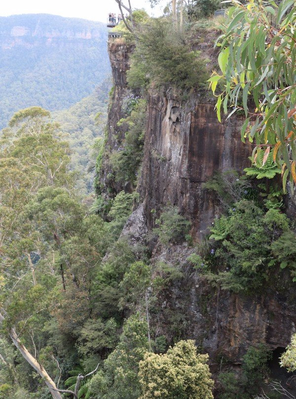 Spooners Lookout景点图片