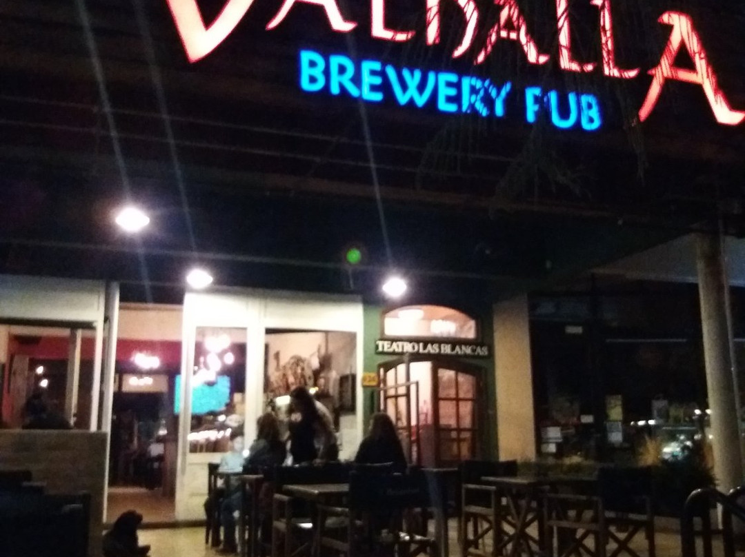 Villa De Merlo餐馆和美食-Valhalla Brewery Pub