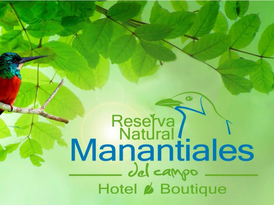 Manantiales del Campo主图