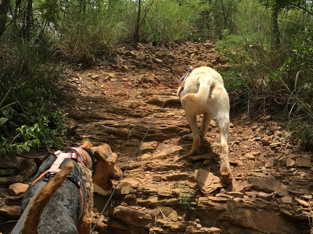 Faerie Glen Nature Reserve-比勒陀利亚必去景点