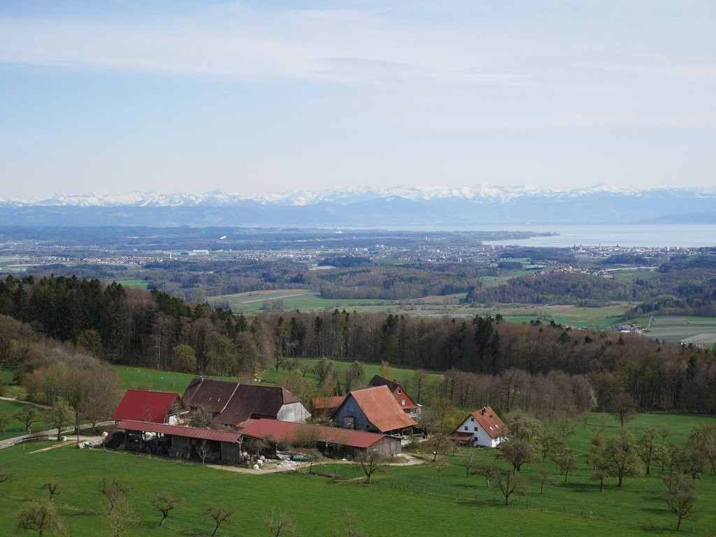 Gehrenbergturm景点图片