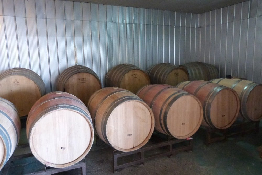 Vina Monte Maria景点图片