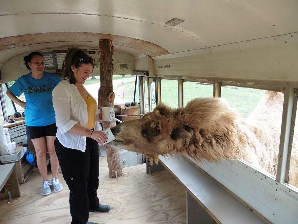 Gone Wild Safari Park-Pineville必去景点