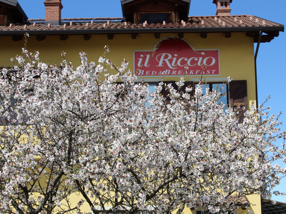 Il Riccio主图