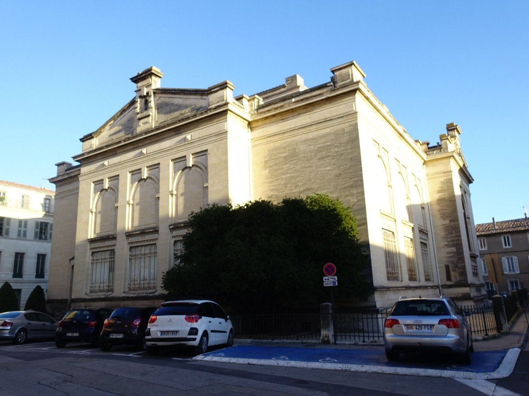 Musee des Beaux-Arts-尼姆必去景点