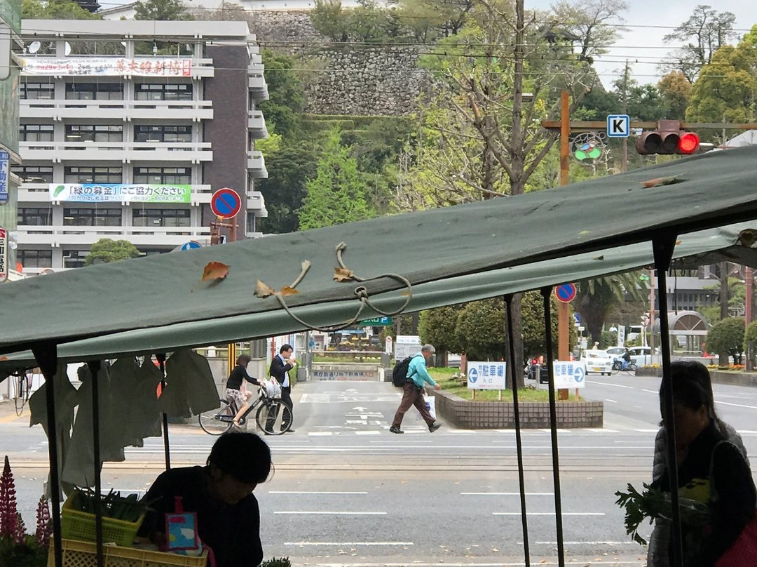 Thursday City-高知市必去景点