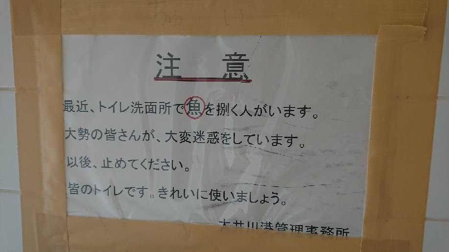 Oigawa Port景点图片