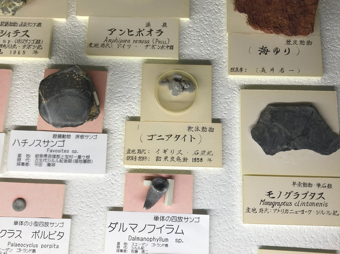 Akiyoshi-dai Museum of Natural History-美祢市必去景点