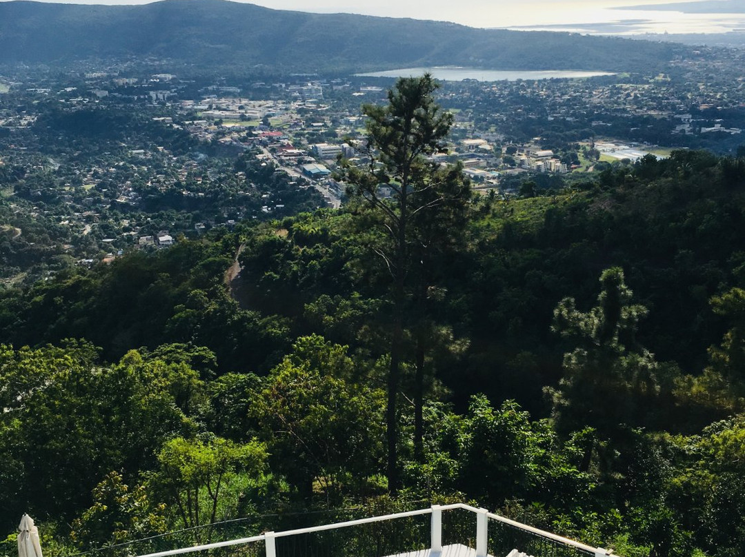 Tranquility Estate Bed & Breakfast主图