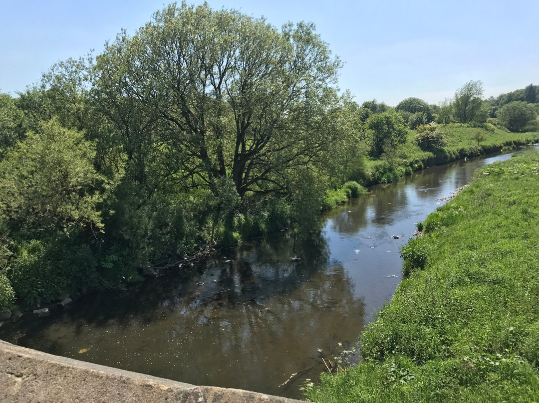 Witton Country Park景点图片