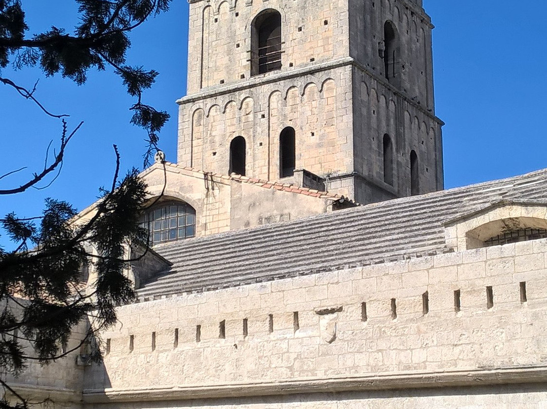 Provence Authentic景点图片