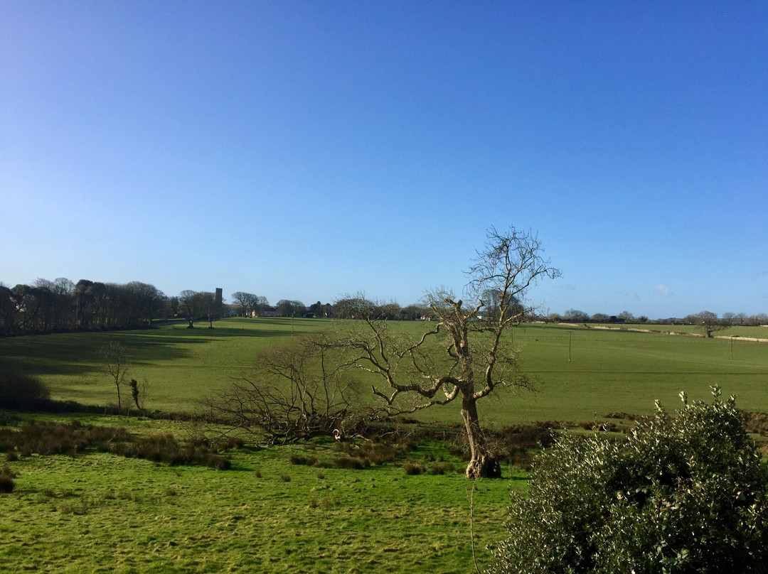 Best Western Lamphey Court Hotel & Spa主图