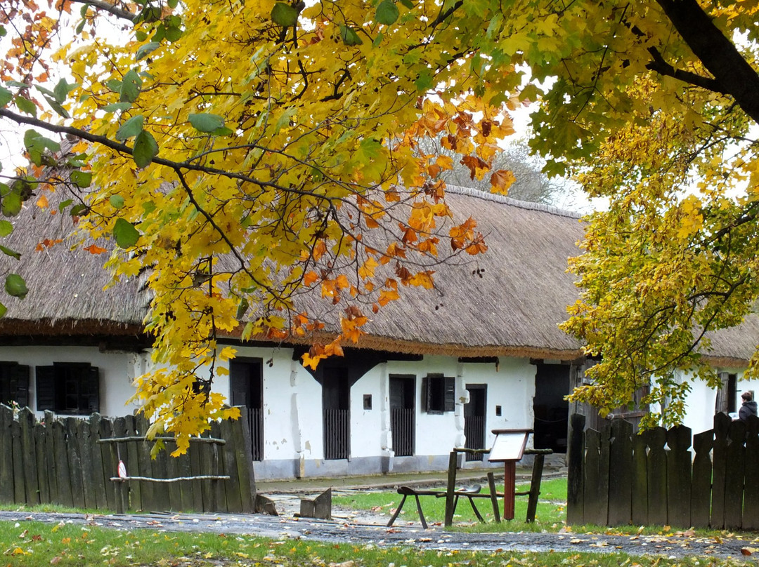 Gocseji Village Museum景点图片