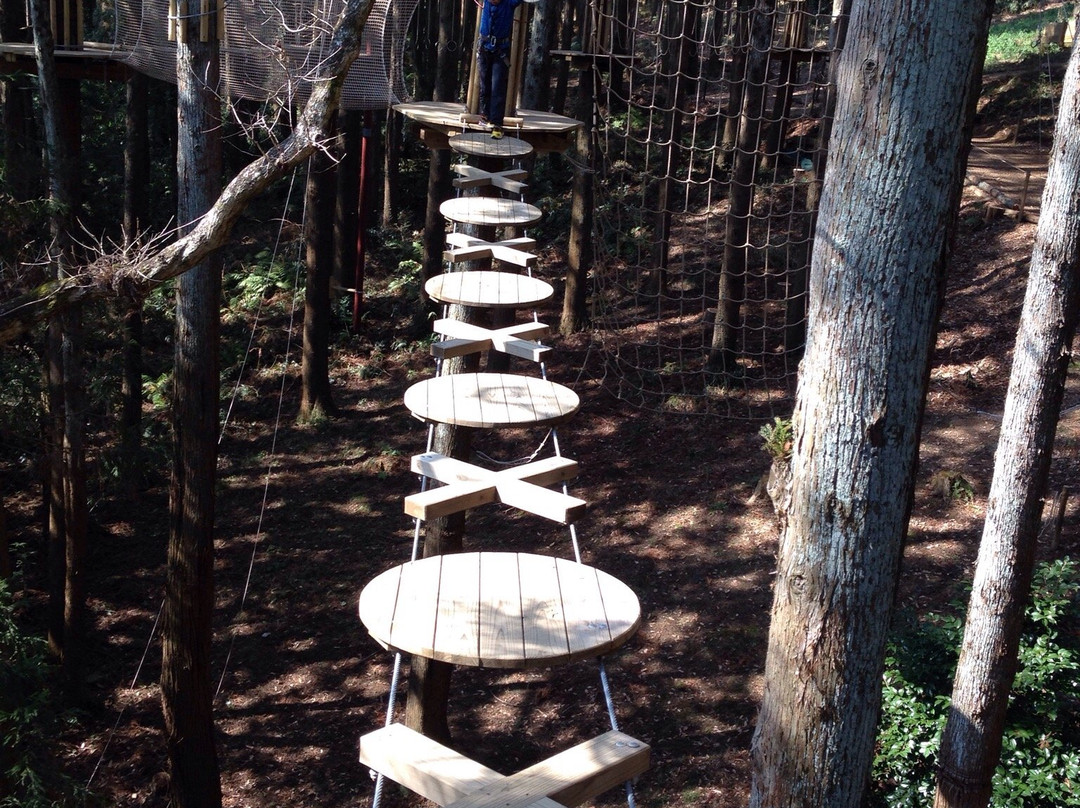 Forest Adventure Tarzania-长柄町必去景点