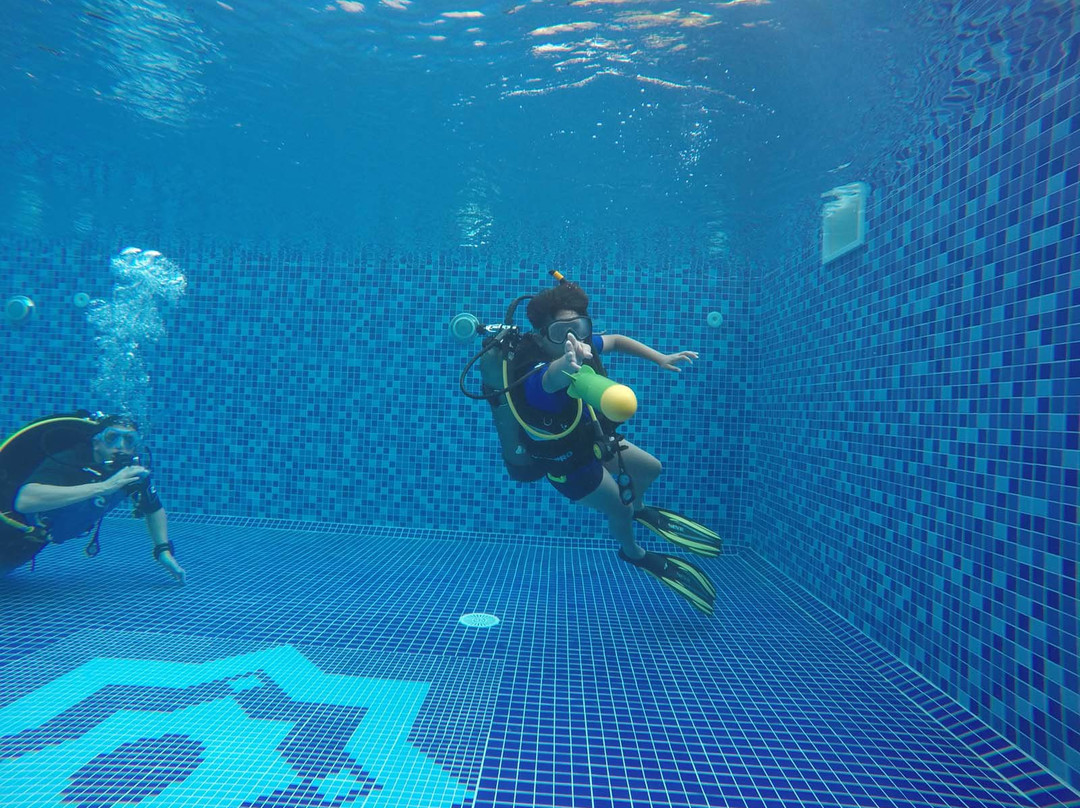 Al Jazeera Diving & Swimming Center-哈伊马角必去景点