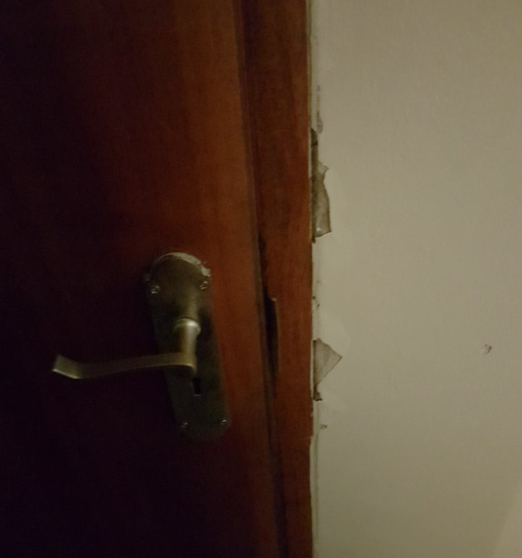 C  the View Guesthouse主图