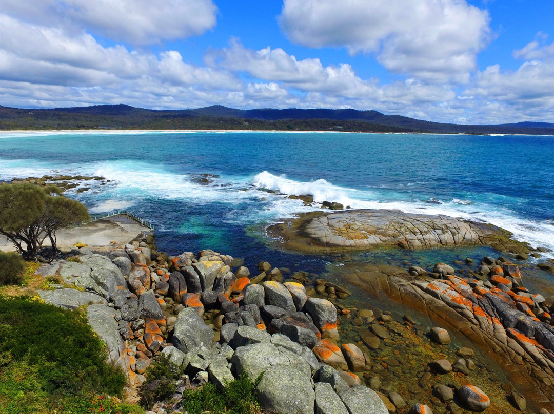 Bay of Fires Eco Tours景点图片