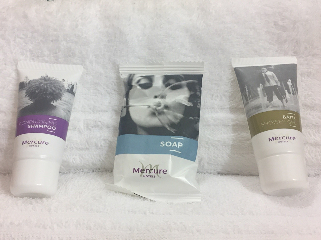 约翰内斯堡兰德堡美居酒店主图