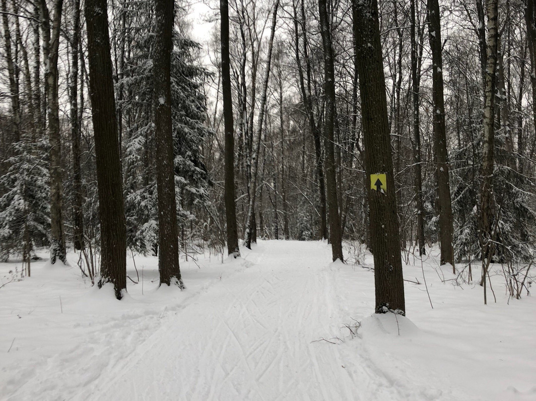 Sport Club Alfa-Bittsa-莫斯科必去景点