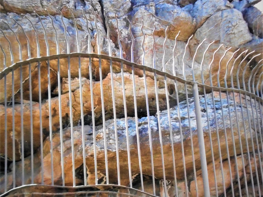 Ngamadjidj Shelter-Laharum必去景点