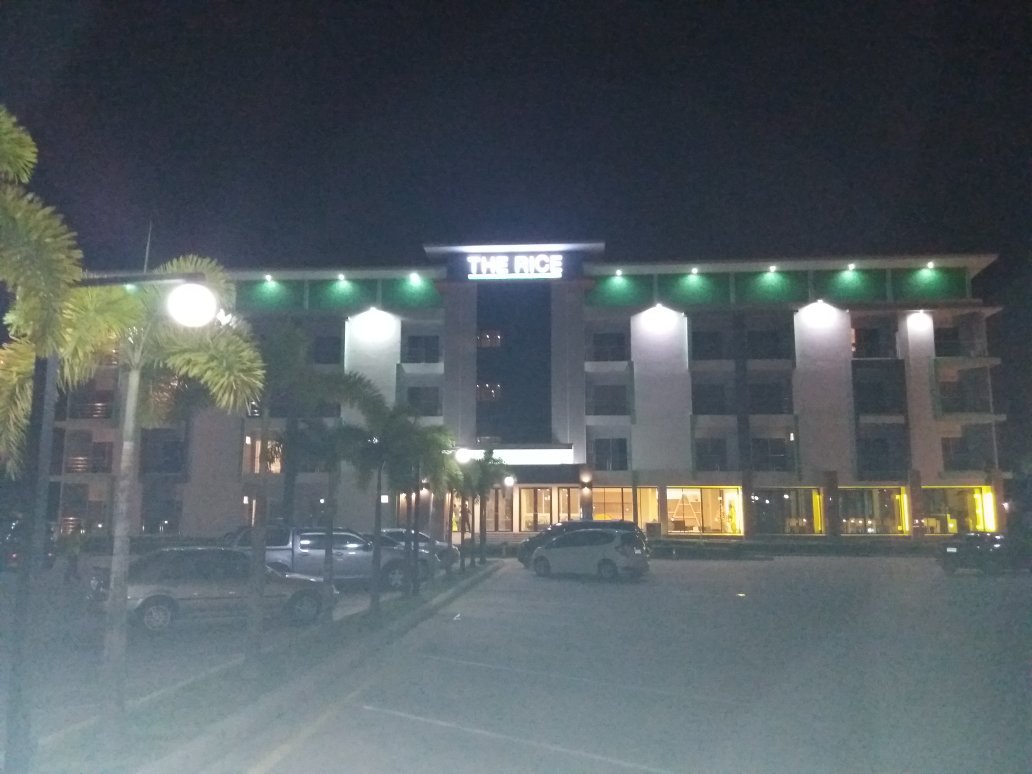 The Rice Hotel-官方