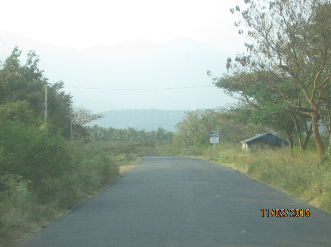 Attappadi Hills景点图片