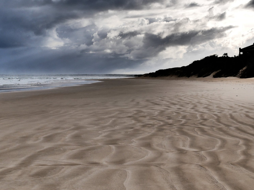 Gaestehaus Saxonia主图