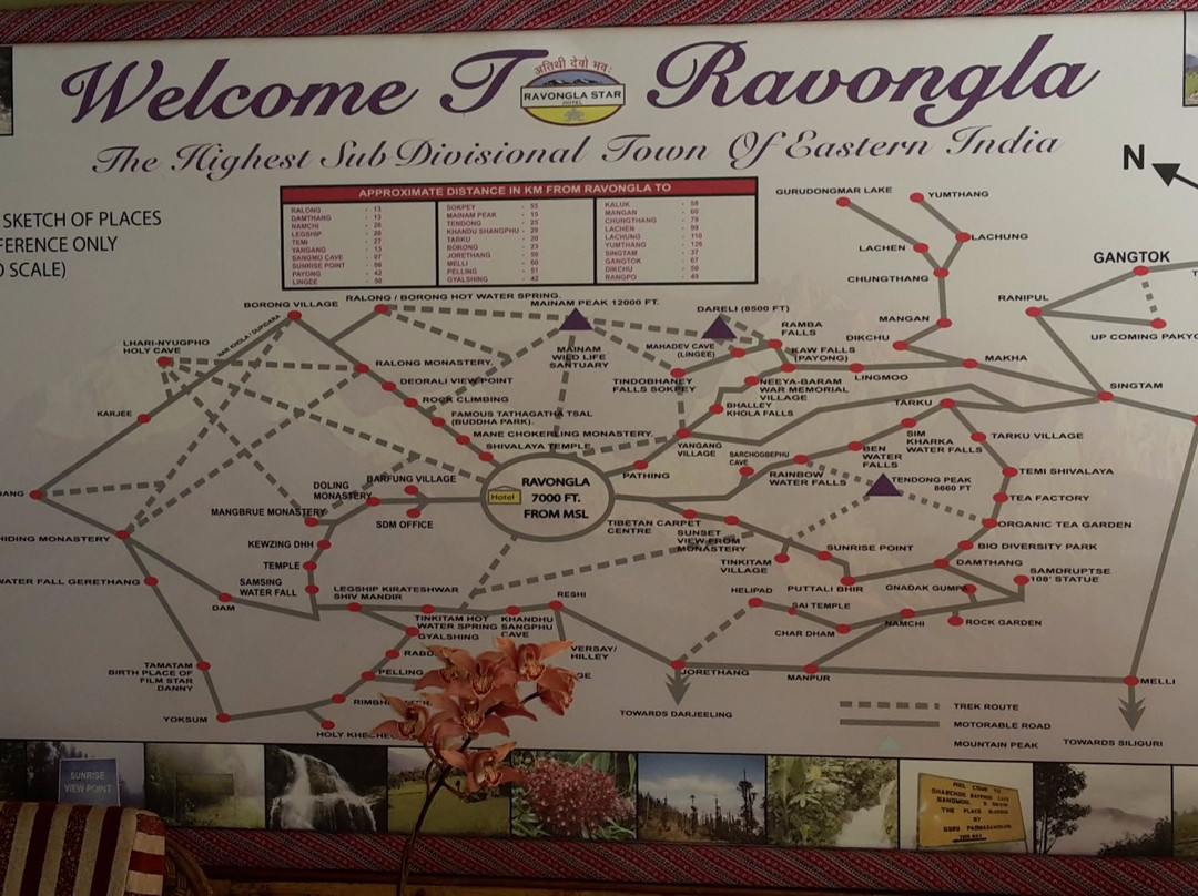 Hotel Ravongla Star主图