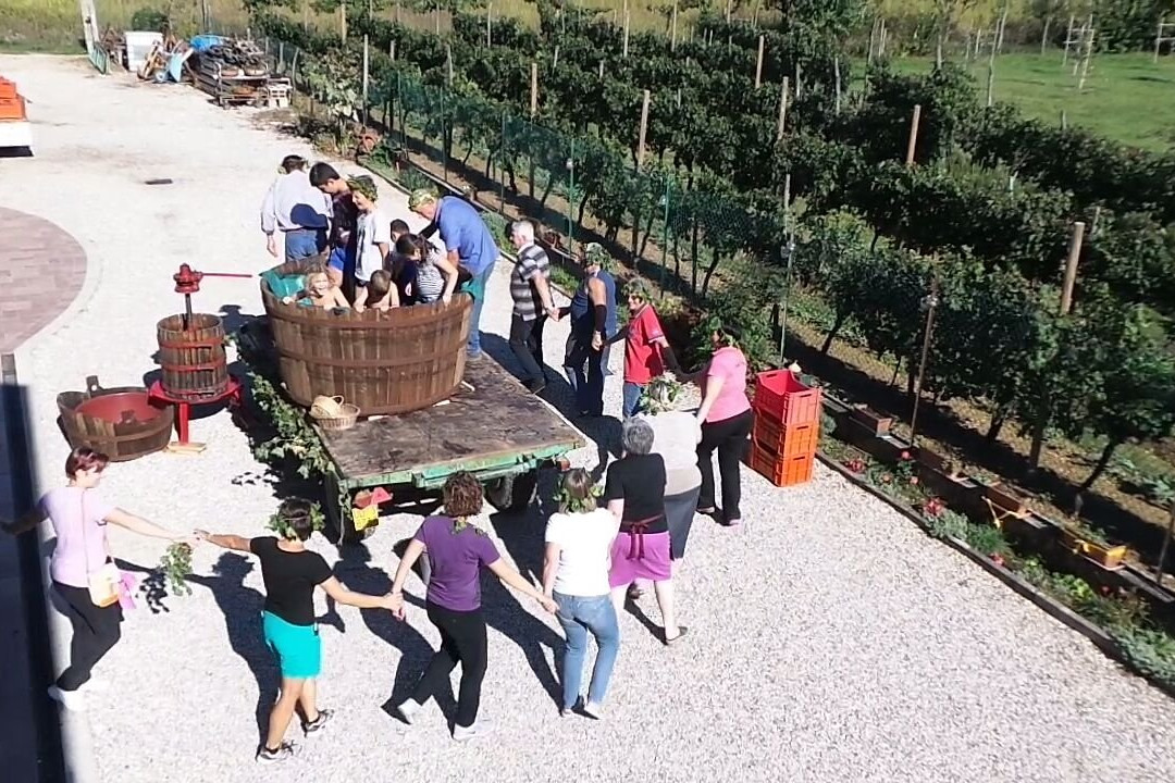 Cantina Vini Lavaroni-Buttrio必去景点