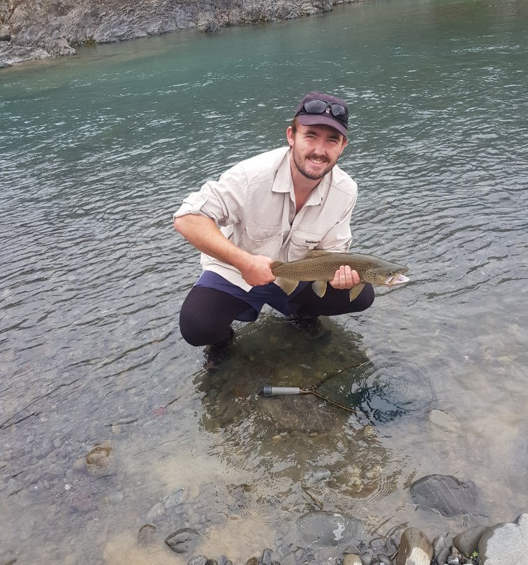 New Zealand Trout Adventures-Collingwood必去景点