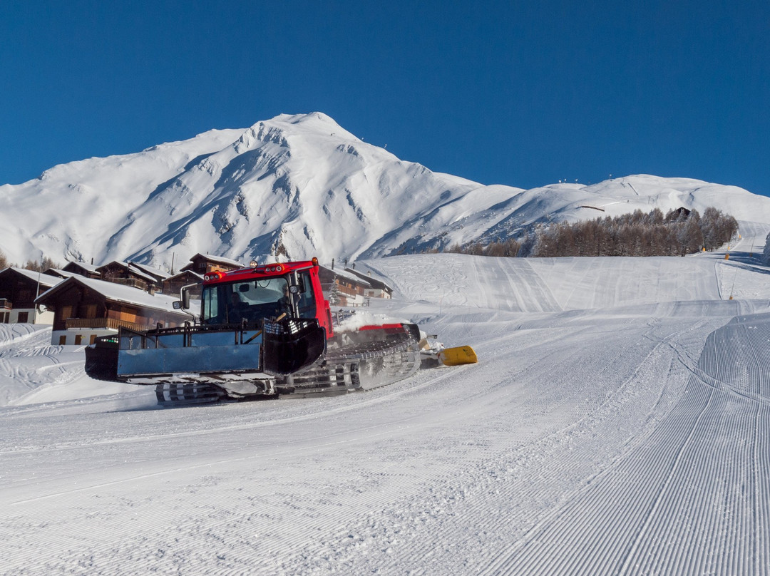 Gruppenhaus im Walliser Alpstyle主图