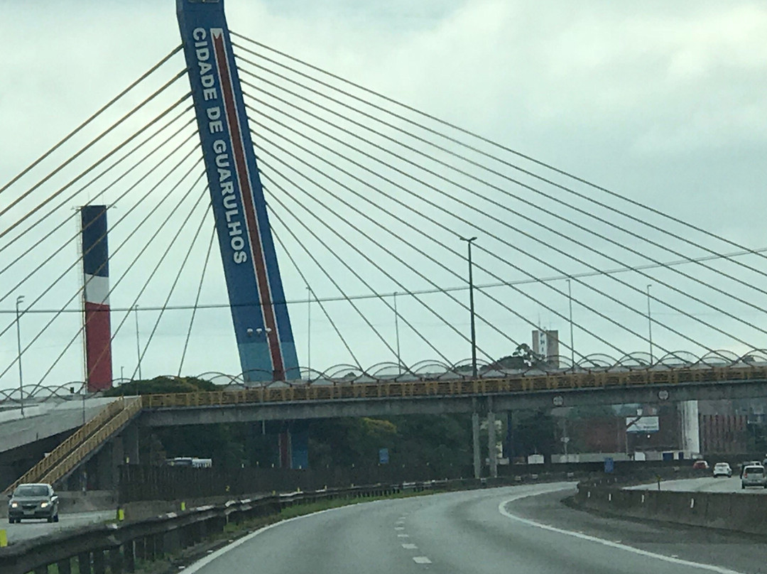 Ponte Estaiada de Guarulhos-瓜鲁柳斯必去景点