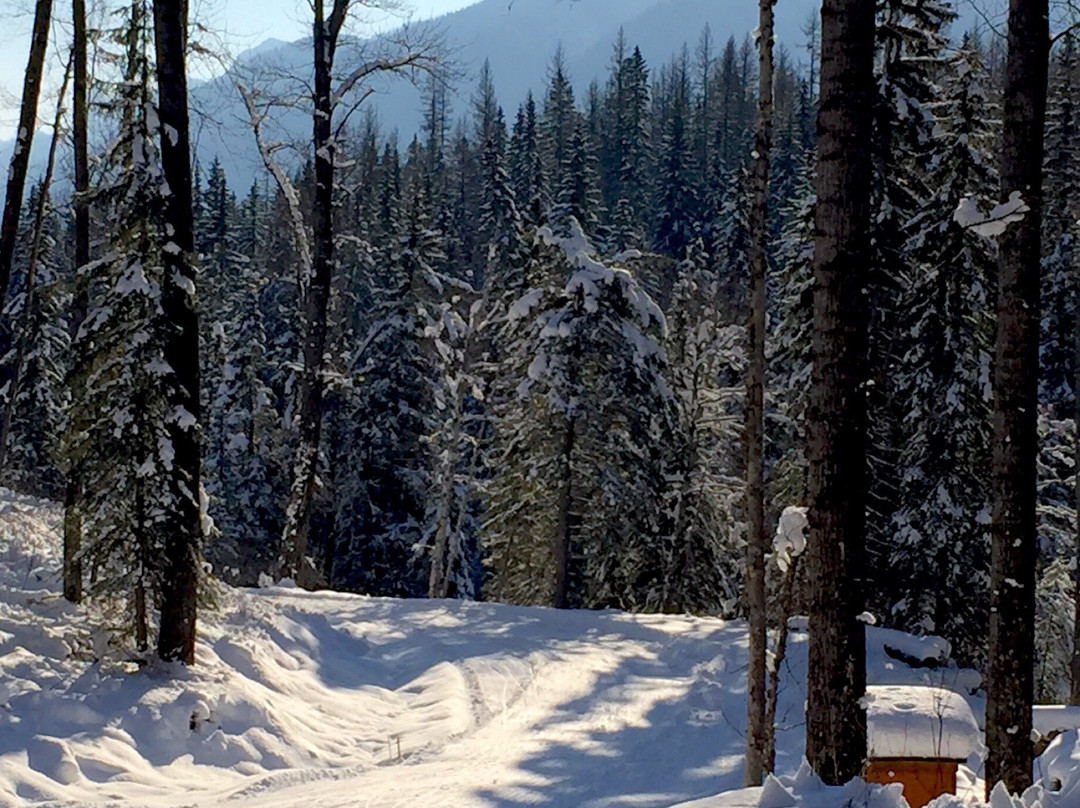 Elk Valley Nordic Centre景点图片